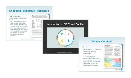 DISC Assessments & Profiles