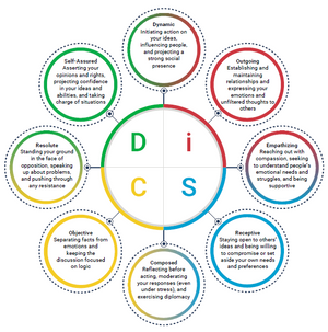 Everything DiSC® Agile EQ™ Profile