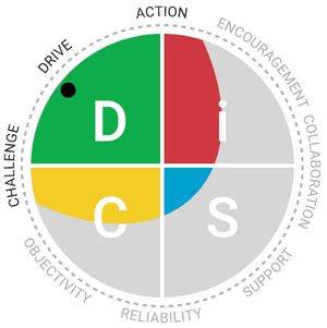 Everything DiSC® Management Profile