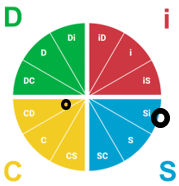DiSC® - Interaction Between Styles:  S (Steady) with C (Conscientious)
