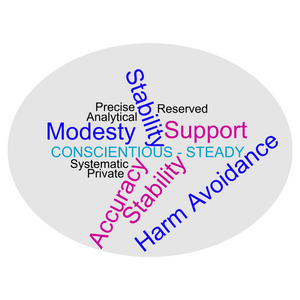 DiSC® - Understanding the CS (Conscientious / Steady) Style