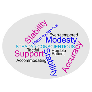 DiSC® - Understanding the SC (Steady / Conscientious) Style